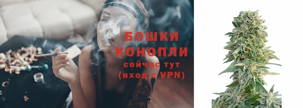 a pvp Белокуриха