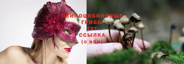 а пвп мука Балабаново
