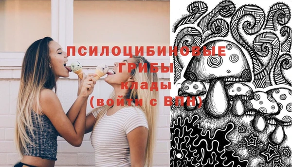 a pvp Белокуриха