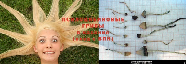 a pvp Белокуриха